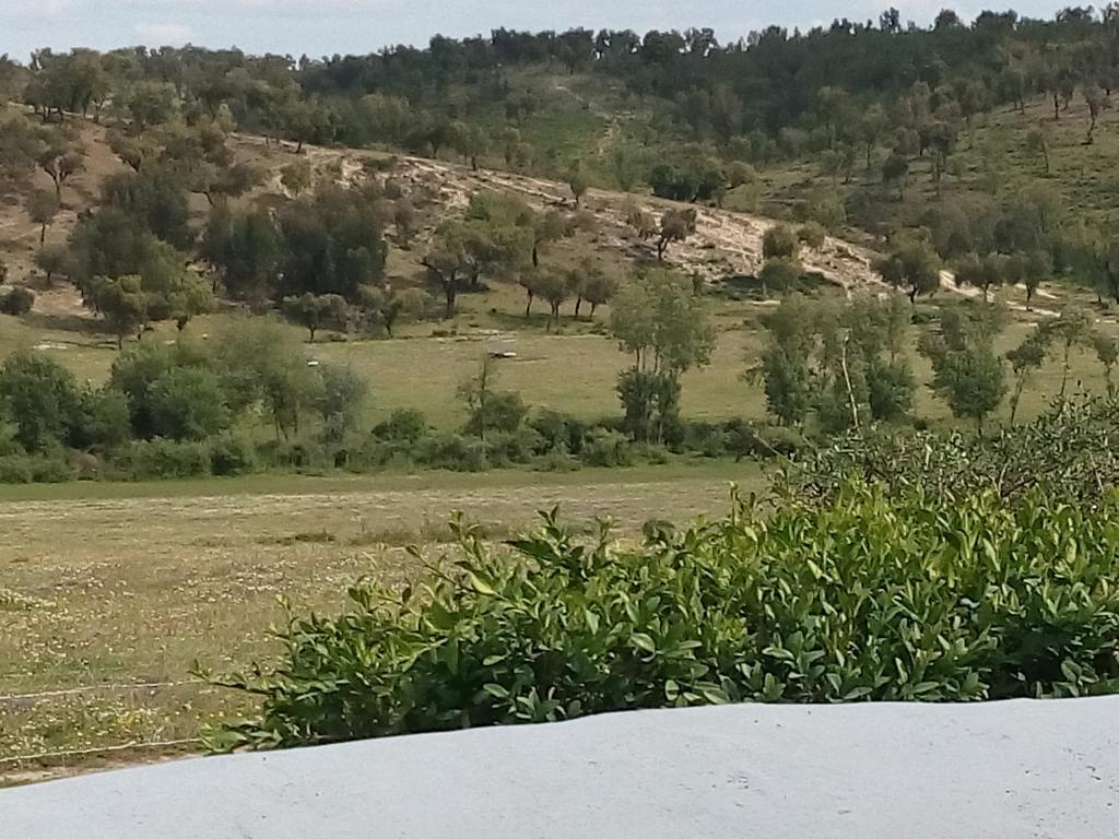 Herdade Da Maxuqueira Gavião Exterior foto