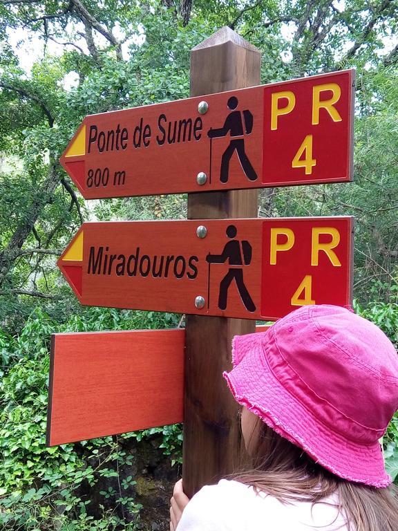 Herdade Da Maxuqueira Gavião Exterior foto