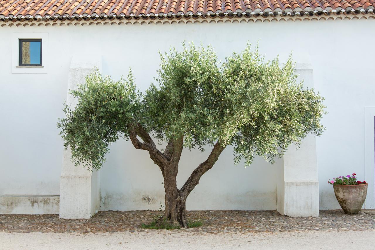 Herdade Da Maxuqueira Gavião Exterior foto