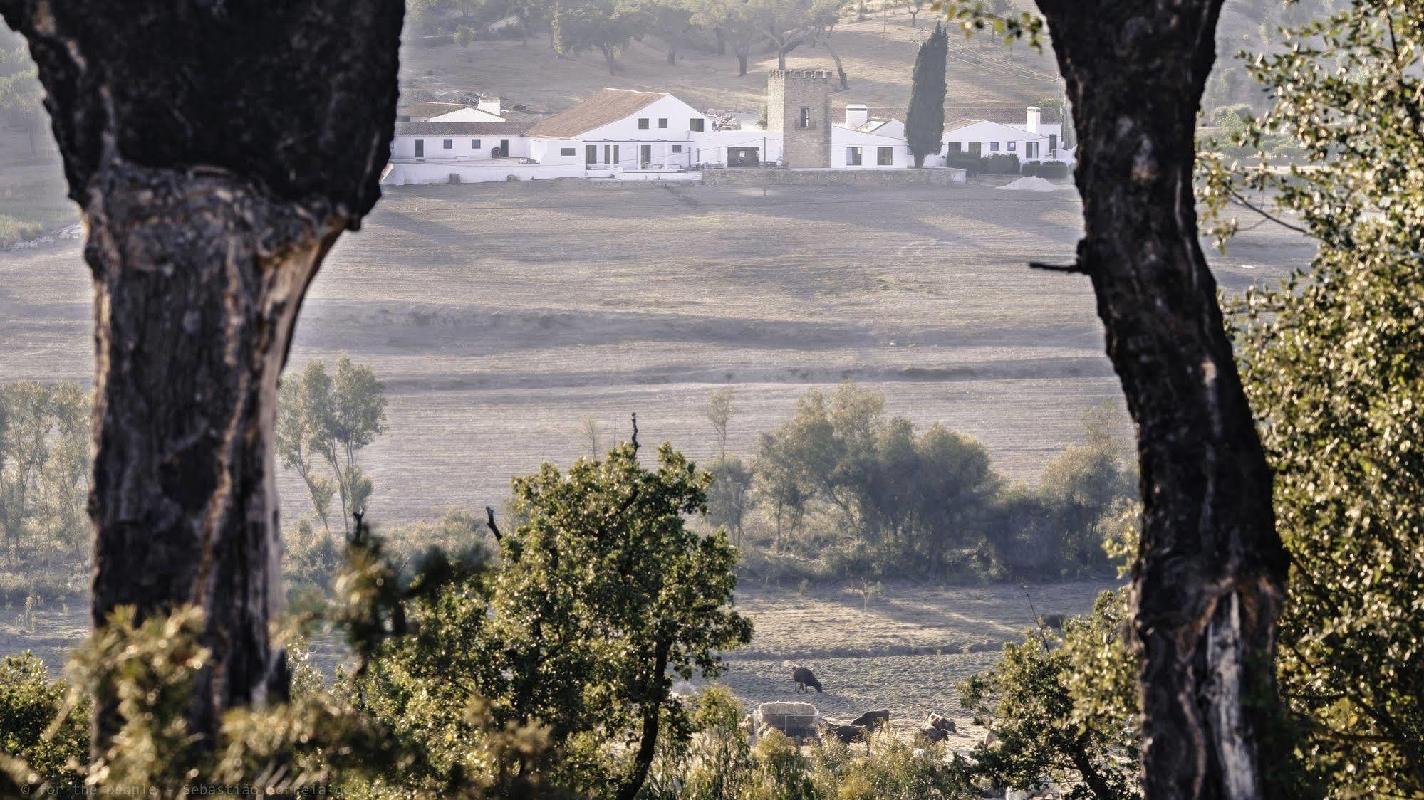 Herdade Da Maxuqueira Gavião Exterior foto